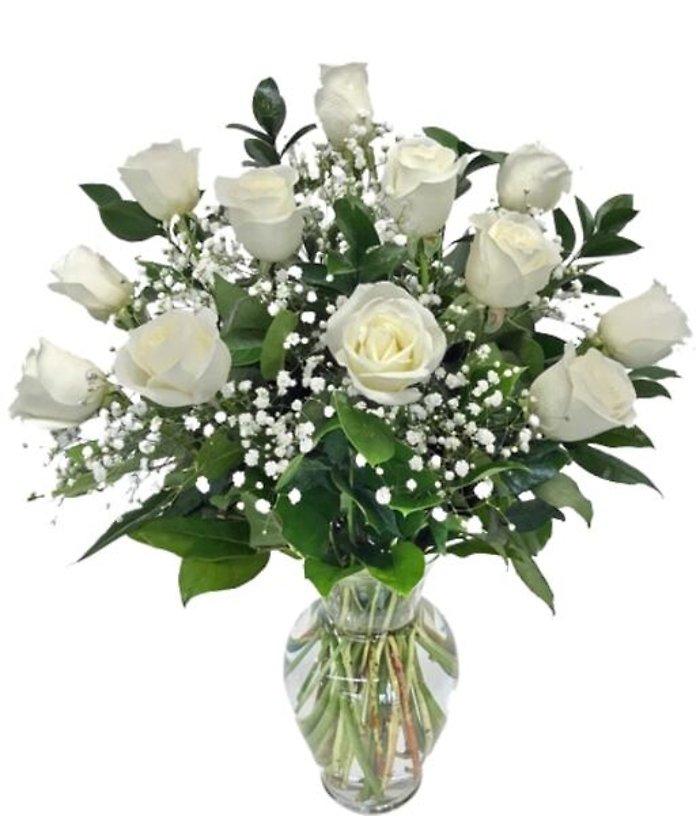 Elegant White Roses